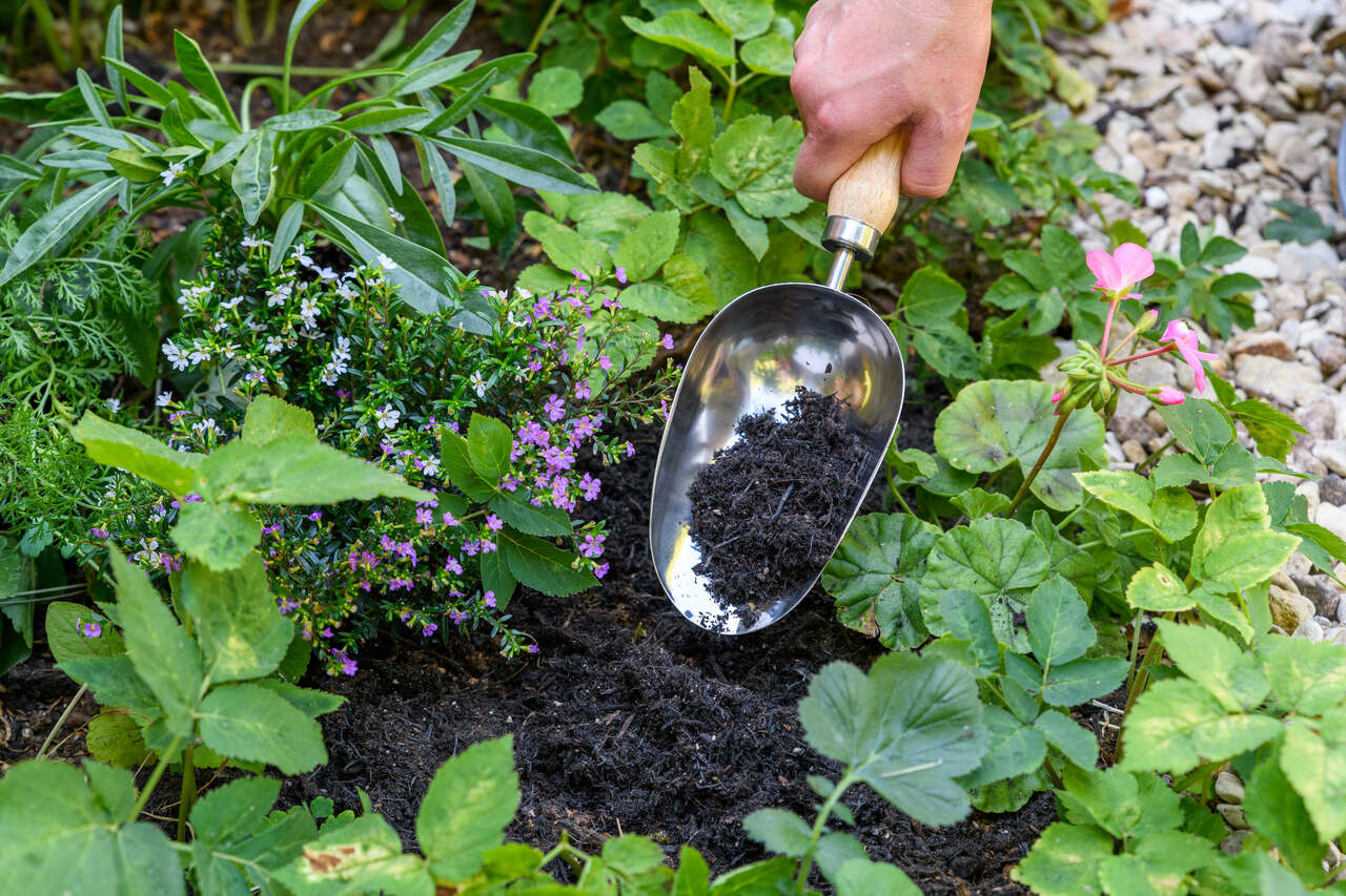 Tiefe Gartenerde-Schaufel | fasst mehr Erde als die Standard Gartenkelle | aus England, von Burgon & Ball