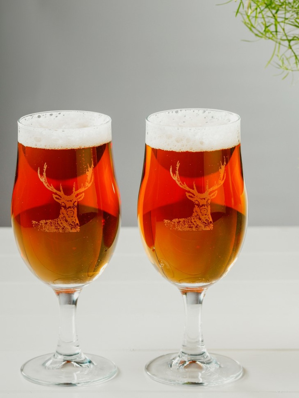 Craft Beer Gläser Hirsch | 2er-Set