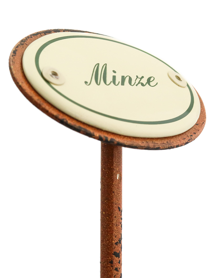 Kräuterstecker Minze seitlich