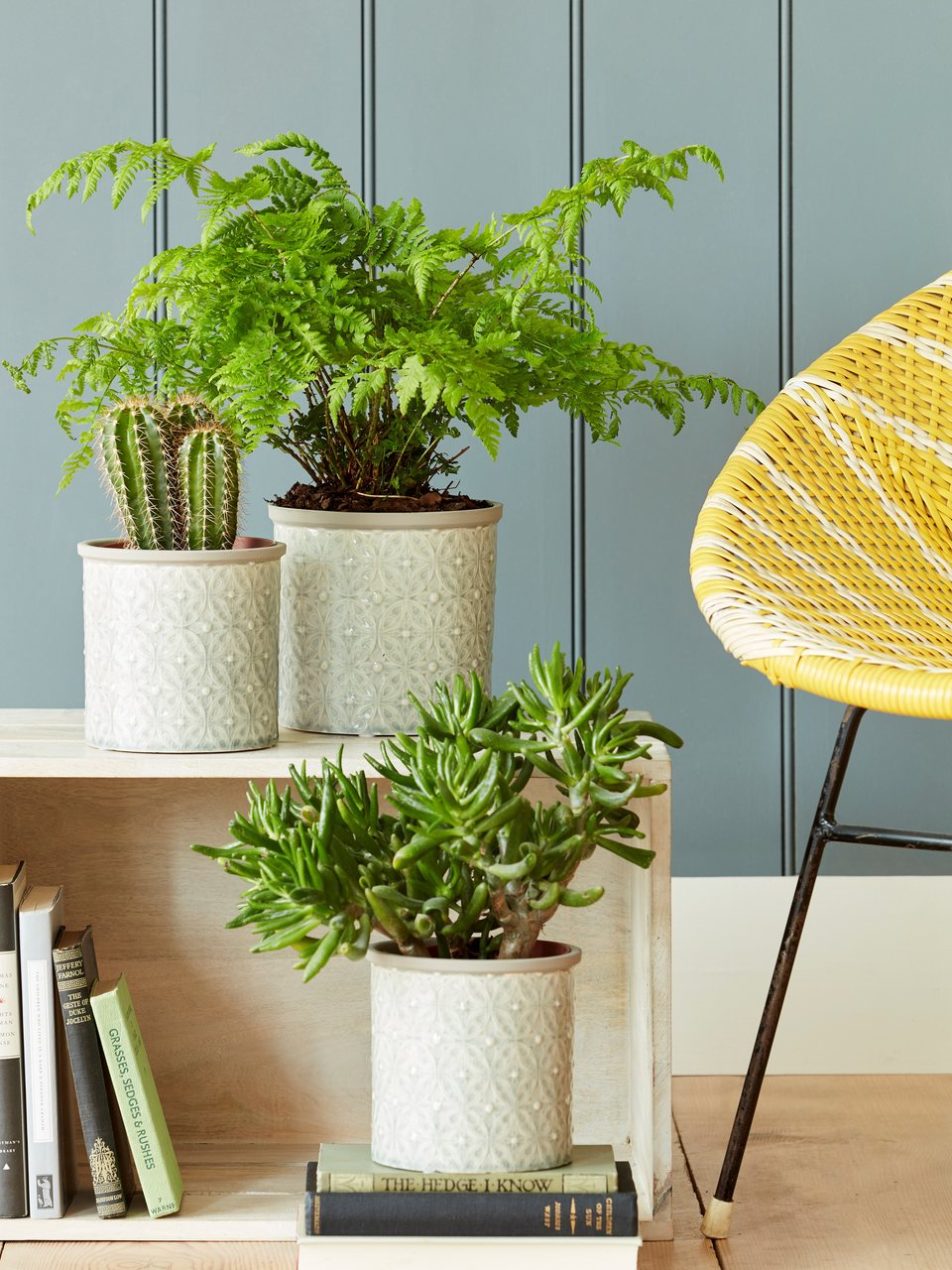 Blumen-Übertöpfe Porto Grau -  klein und groß