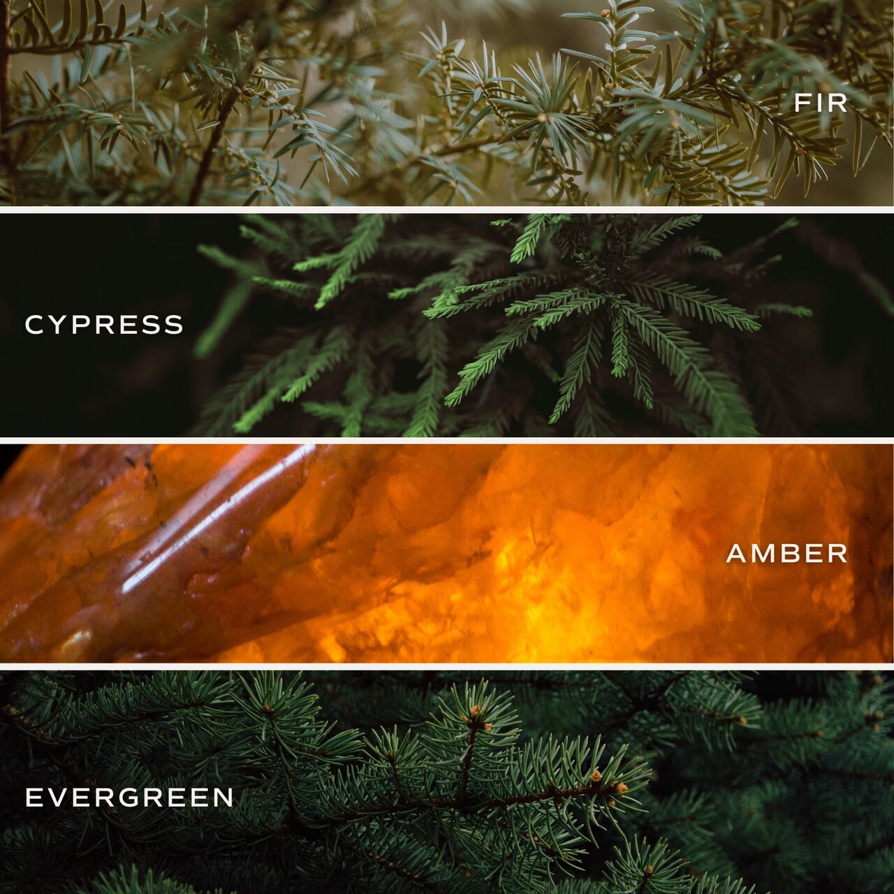 Die Zutaten der Duftkerze: Tanne - Cypresse - Amber - Evergreen | Natürlich und handgefertigt | Gegossen in Pittsburgh | Pennsylvania | USA 