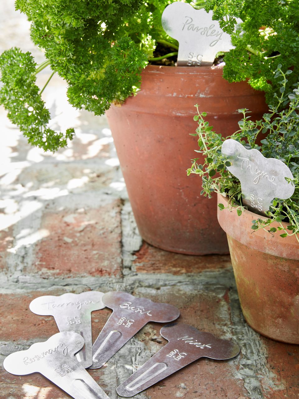 6 Kräuteretiketten im Set | von Sophie Conran