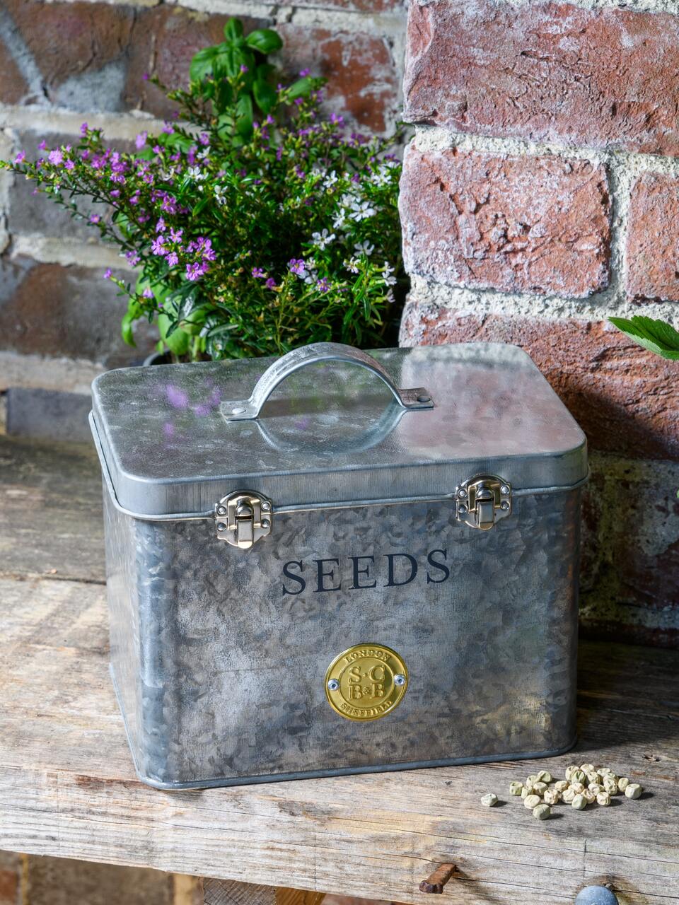 Sophie Conran Samentüten-Box, Galvanisiert