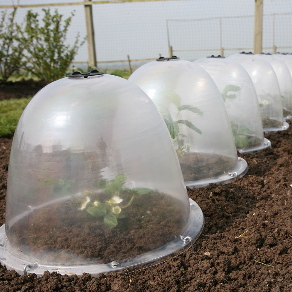 Original Viktorianische Gartenglocke