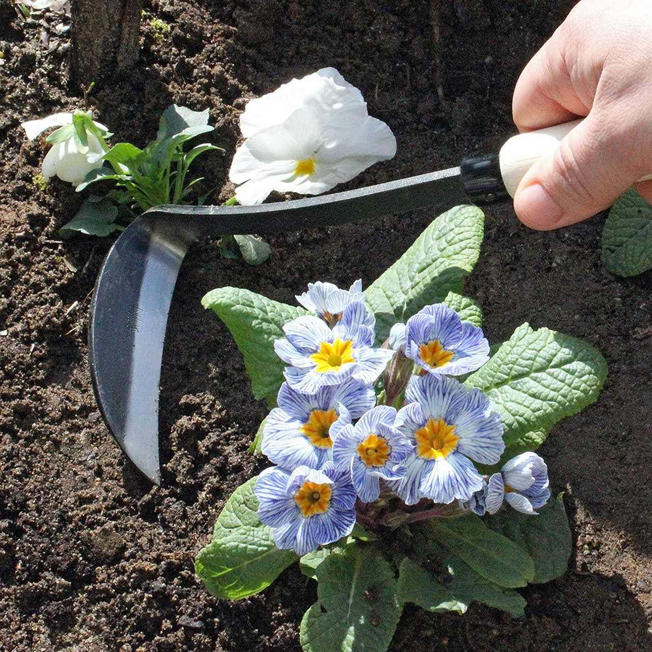 Razor Hoe von Burgon & Ball