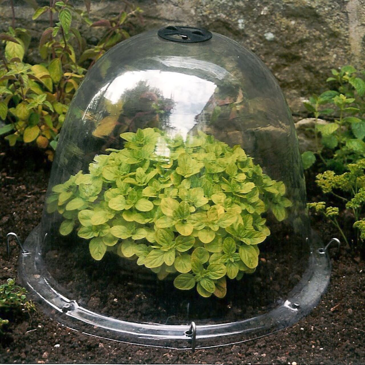 Original Viktorianische Gartenglocke