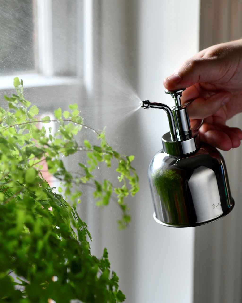 Edelstahl Feinzerstäuber | feiner Sprühnebel für gesunde Pflanzen