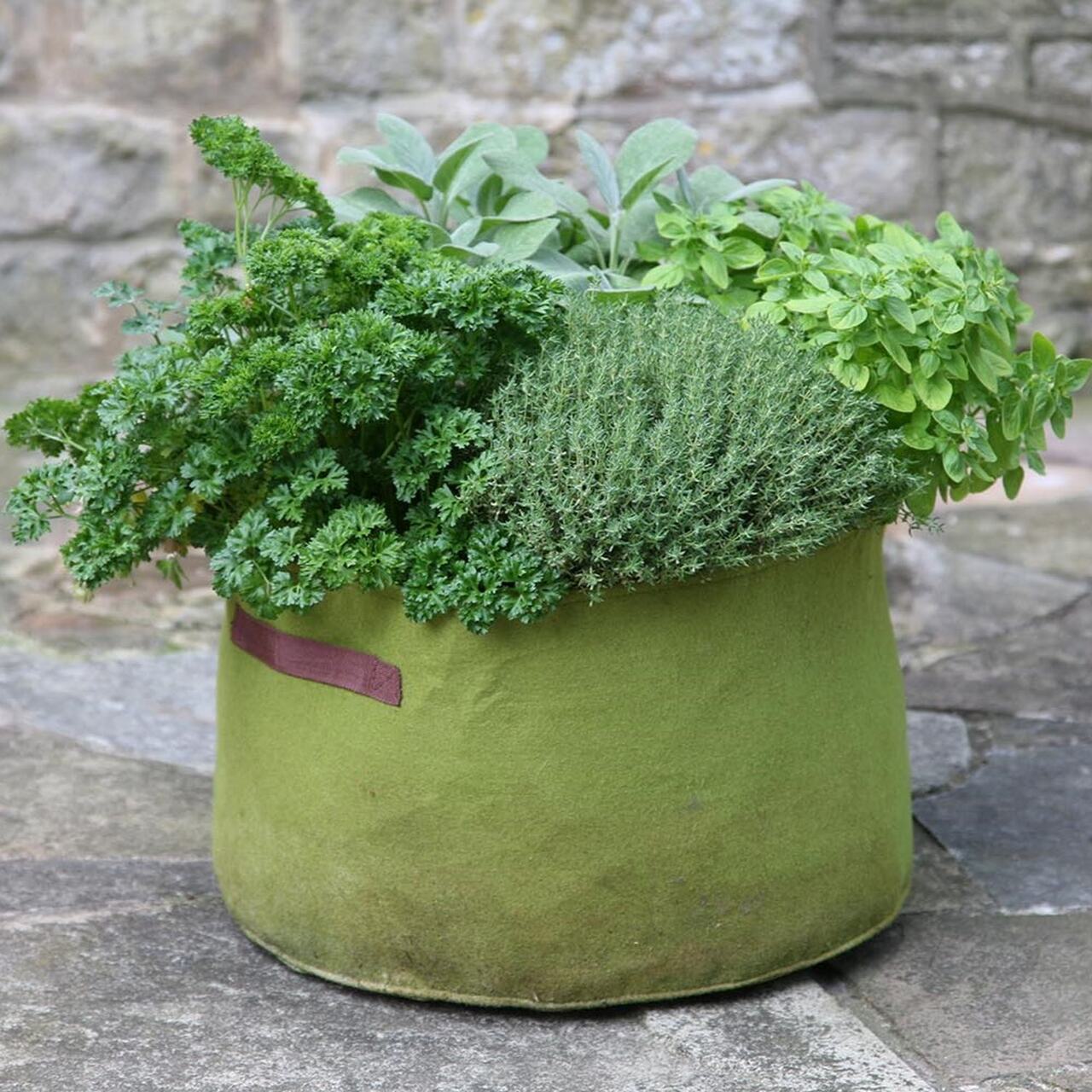 Vigoroot Kräuter-Pflanztasche | Haxnicks