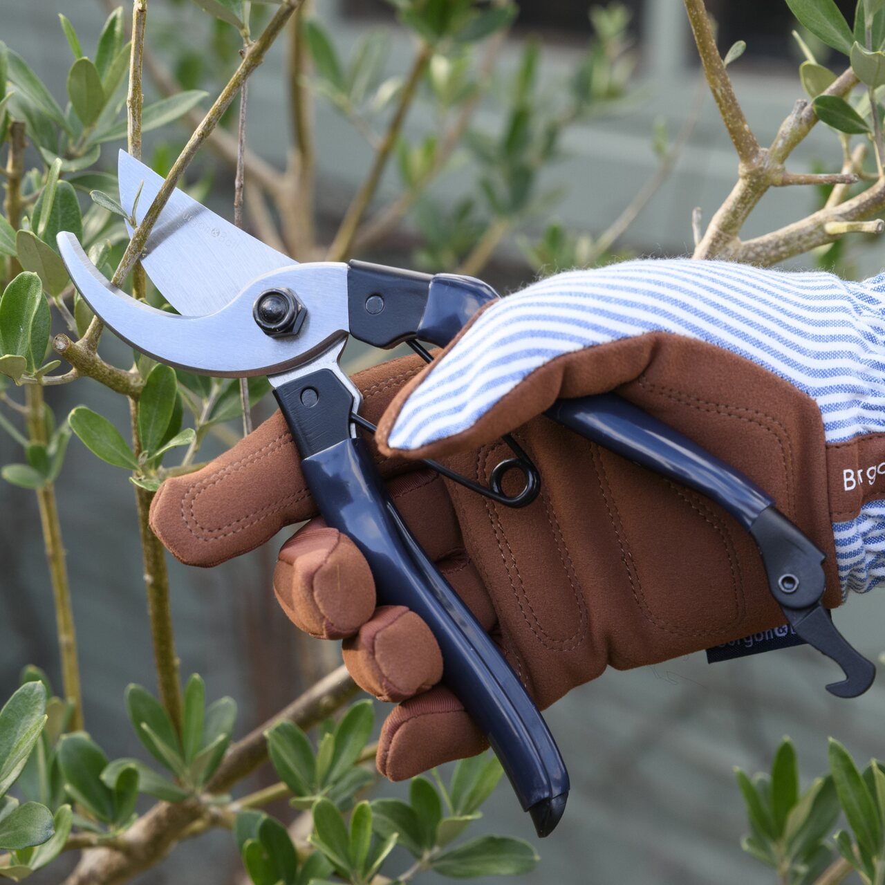 Marineblaue Bypass-Gartenschere aus England