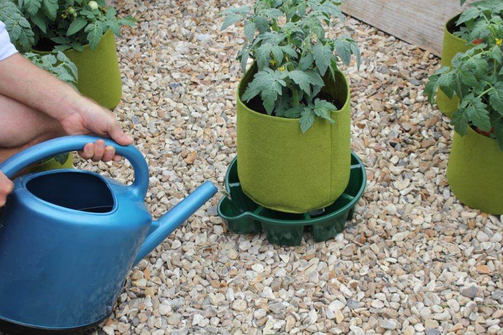 Den Wasserspeicher füllen - die Pflanzen versorgen sich dann über das Kapillarband selbst.