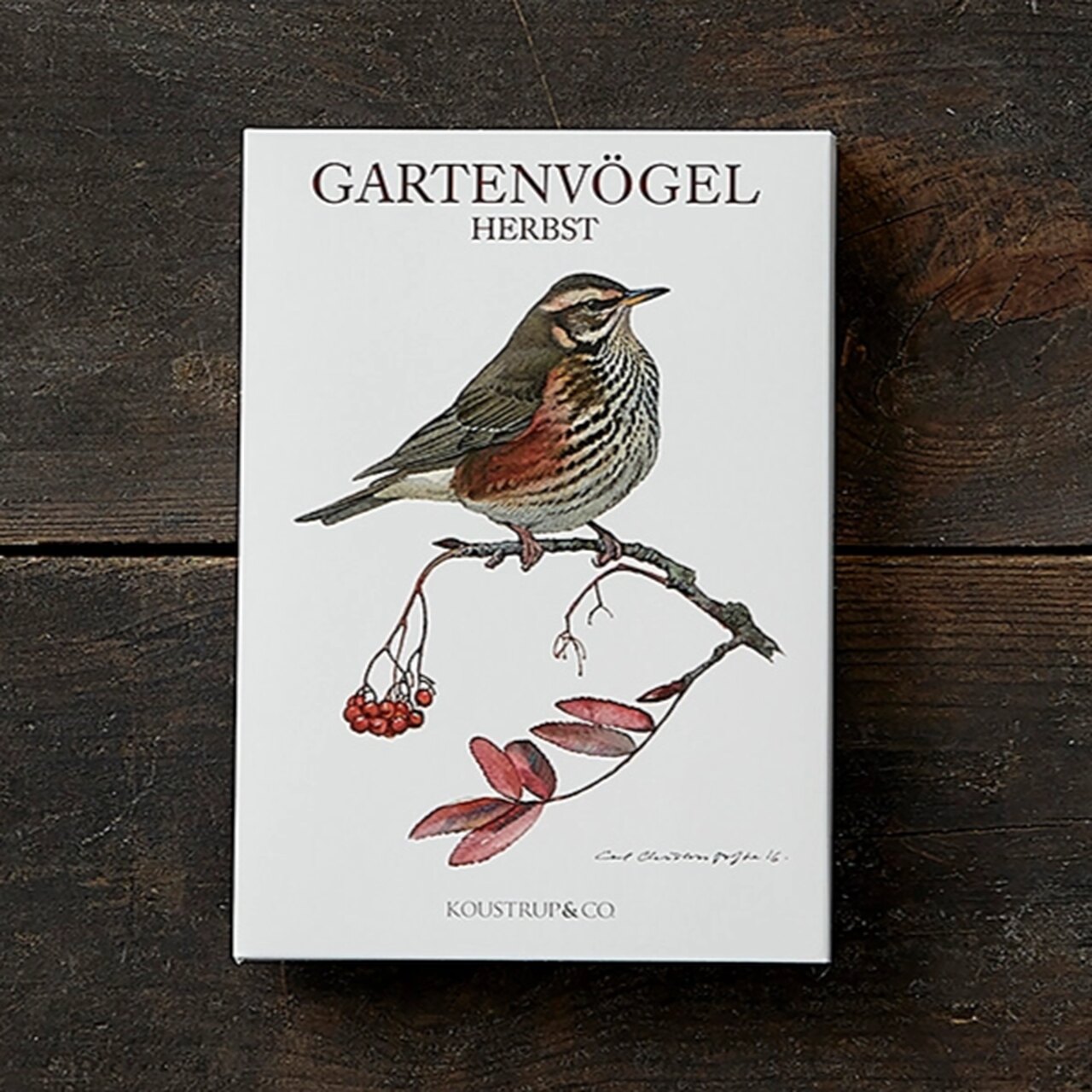 Gartenvögel im Herbst | Grußkarten-Mappe mit bezaubernden Vogelillustrationen | aus Dänemark