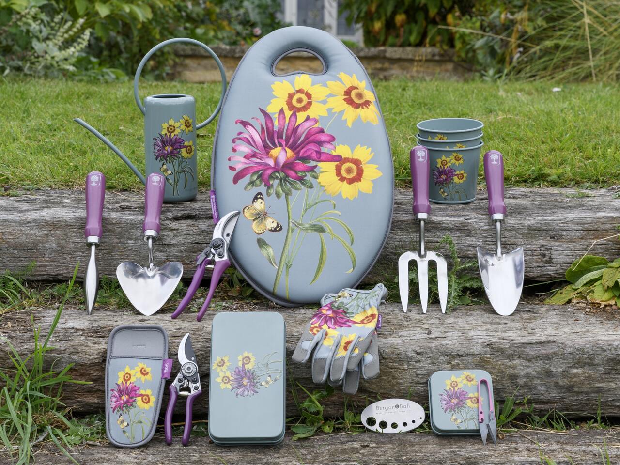 RHS Asteraceae-Collection von Burgon & Ball | Sommeraster