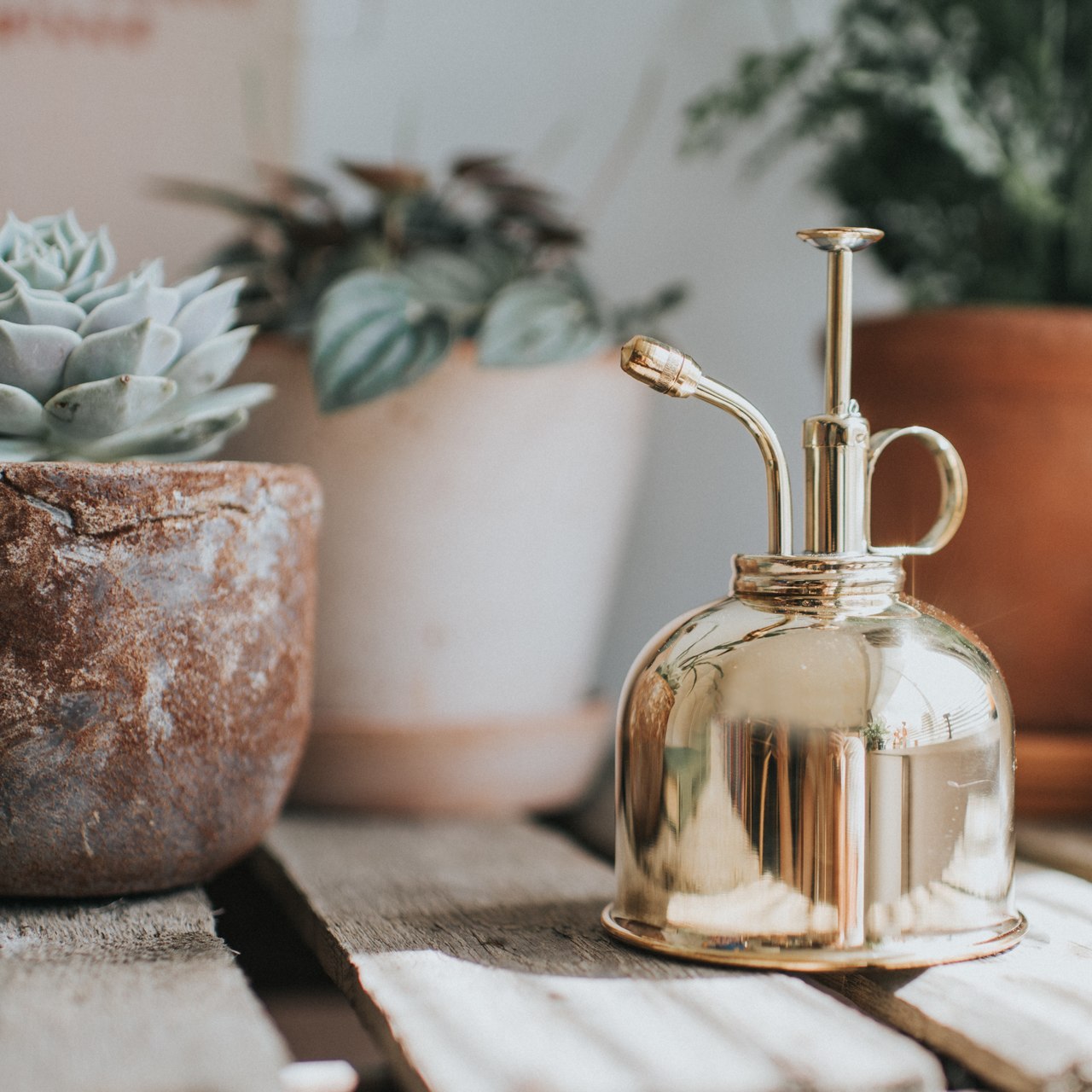 Feinzerstäuber aus Messing | von Haws