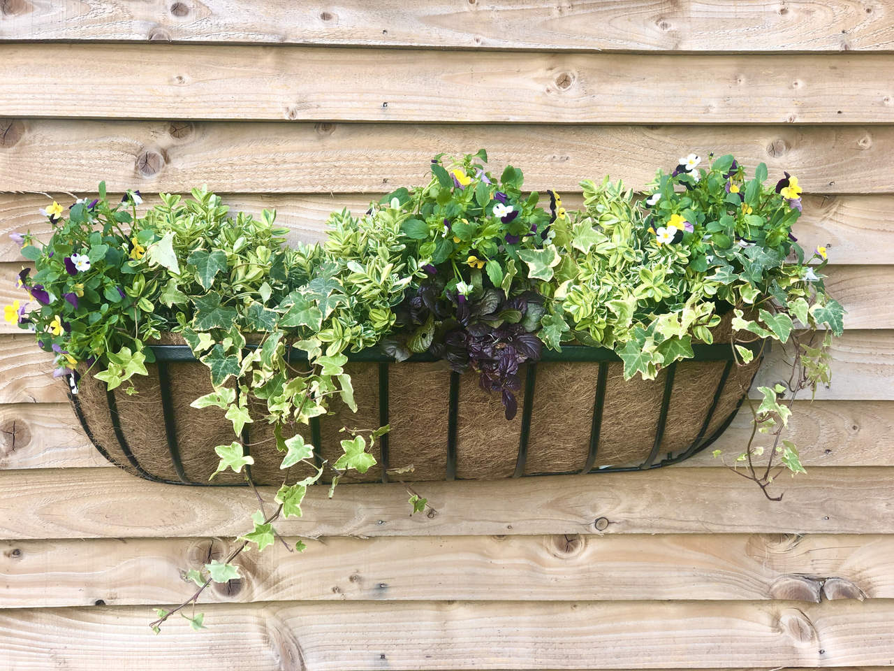 Wand-Pflanztrog | Modell Cambridge