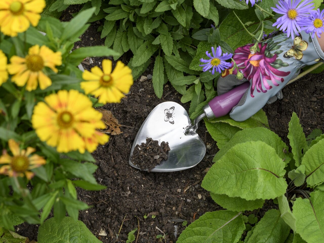Herzförmige Pflanzkelle der Sommeraster-Kollektion, mit passenden Handschuhen