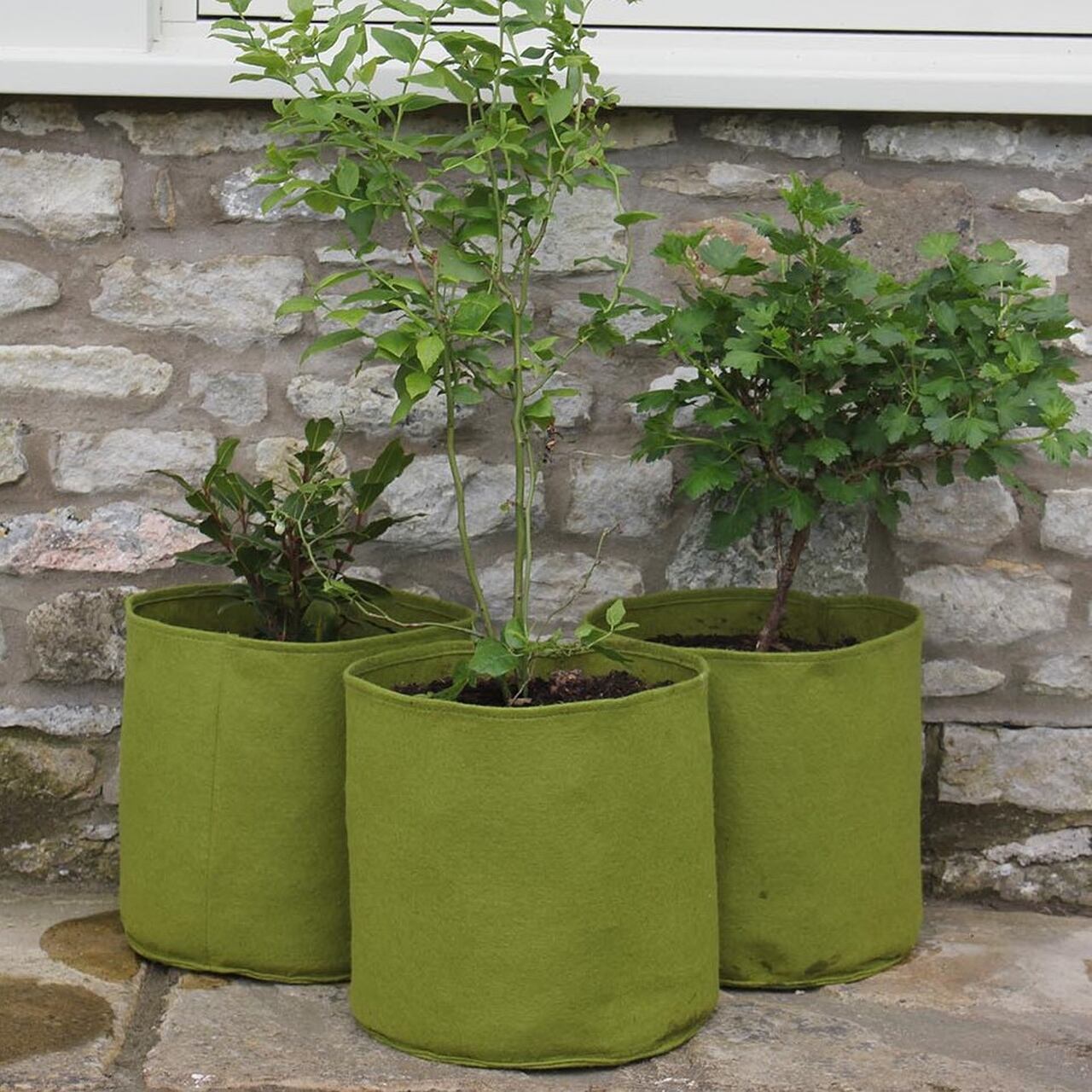 Vigoroot Töpfe 20 Liter