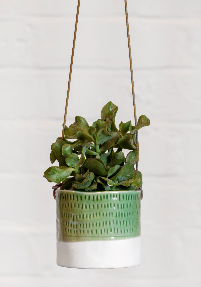 Hänge-Blumentopf 'Pie Crust'