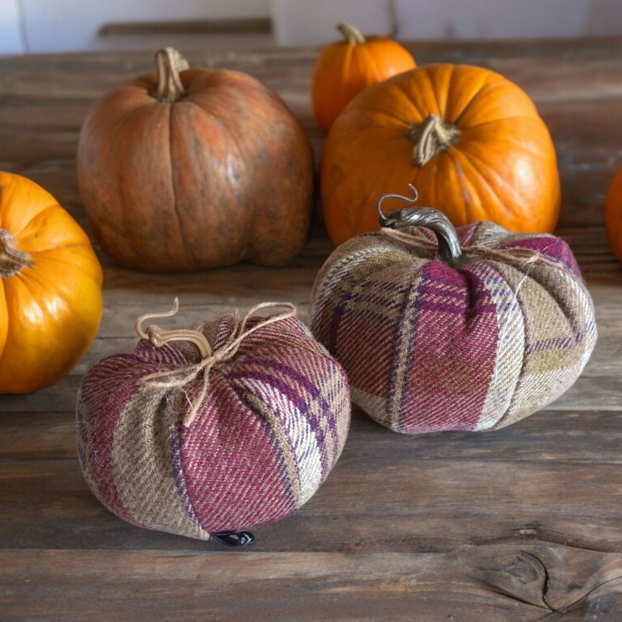 Stoffkürbis | Design Balmoral-Karos | von Moose & Co. | aus Wales