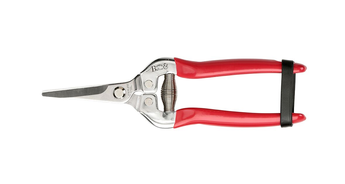 Blumenschere British Bloom