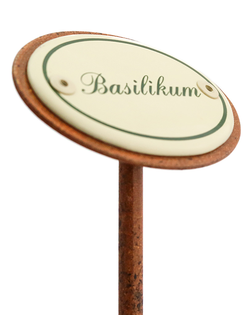 Kräuterstecker Basilikum seitlich