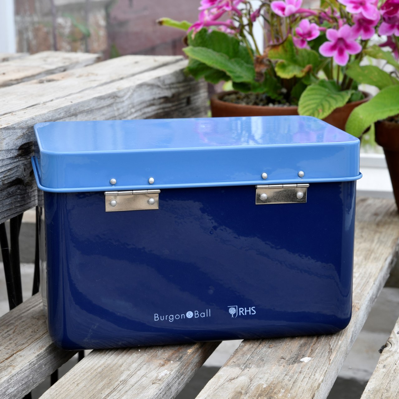 Die Rückseite der Samentüten-Box British Meadow