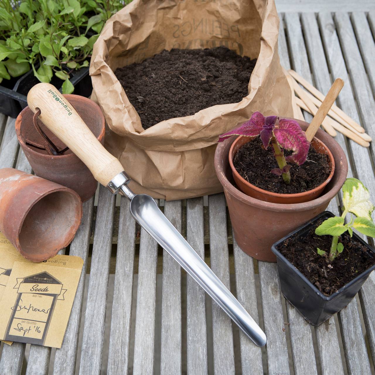 Widger von Burgon & Ball | RHS-empfohlen