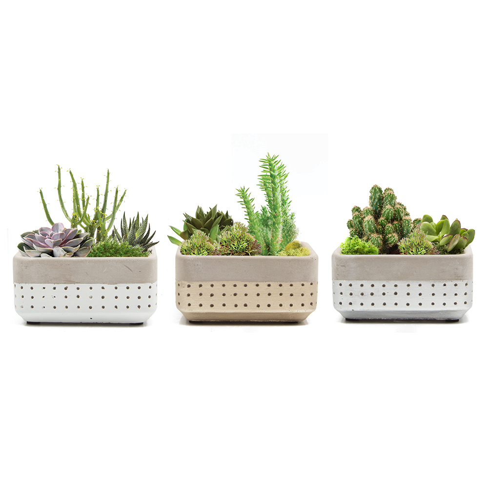 Kleine Pflanzschalen Meraki in Weiß, Gold und Silber