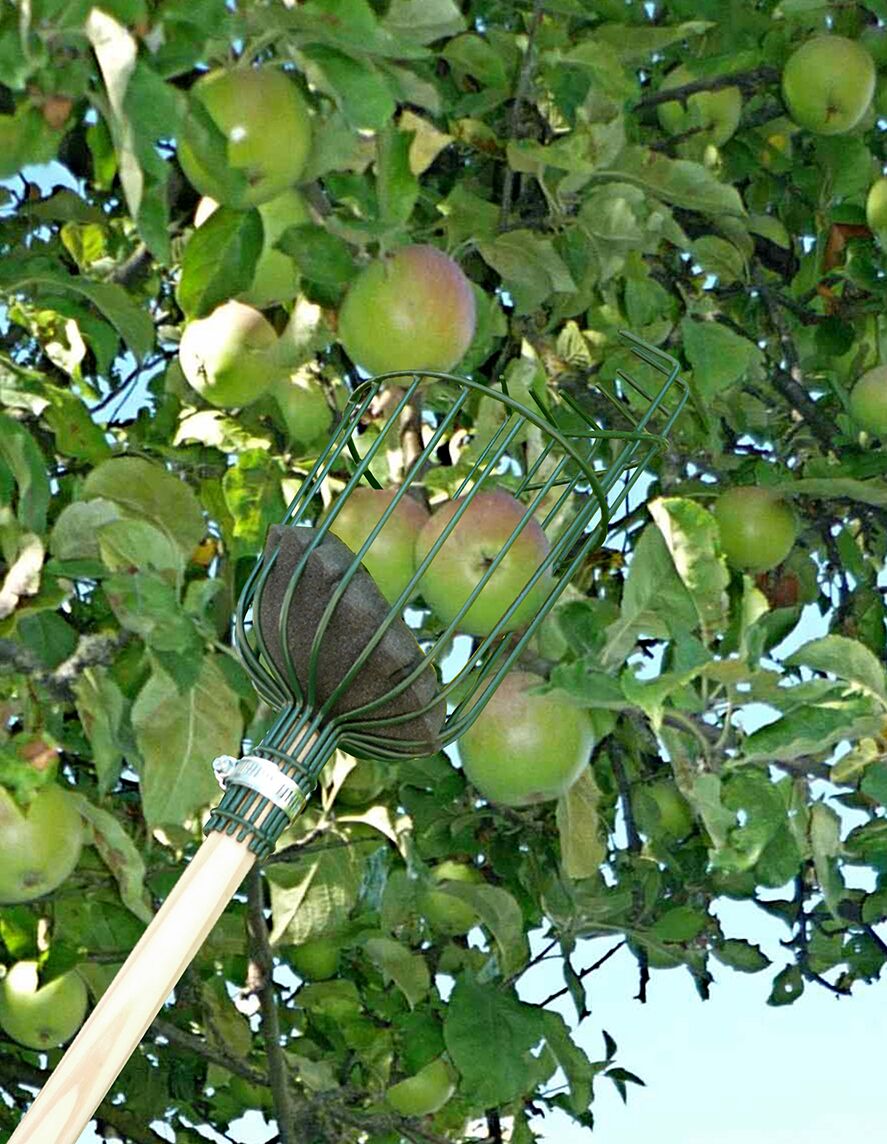 Apple Picker von Burgon & Ball