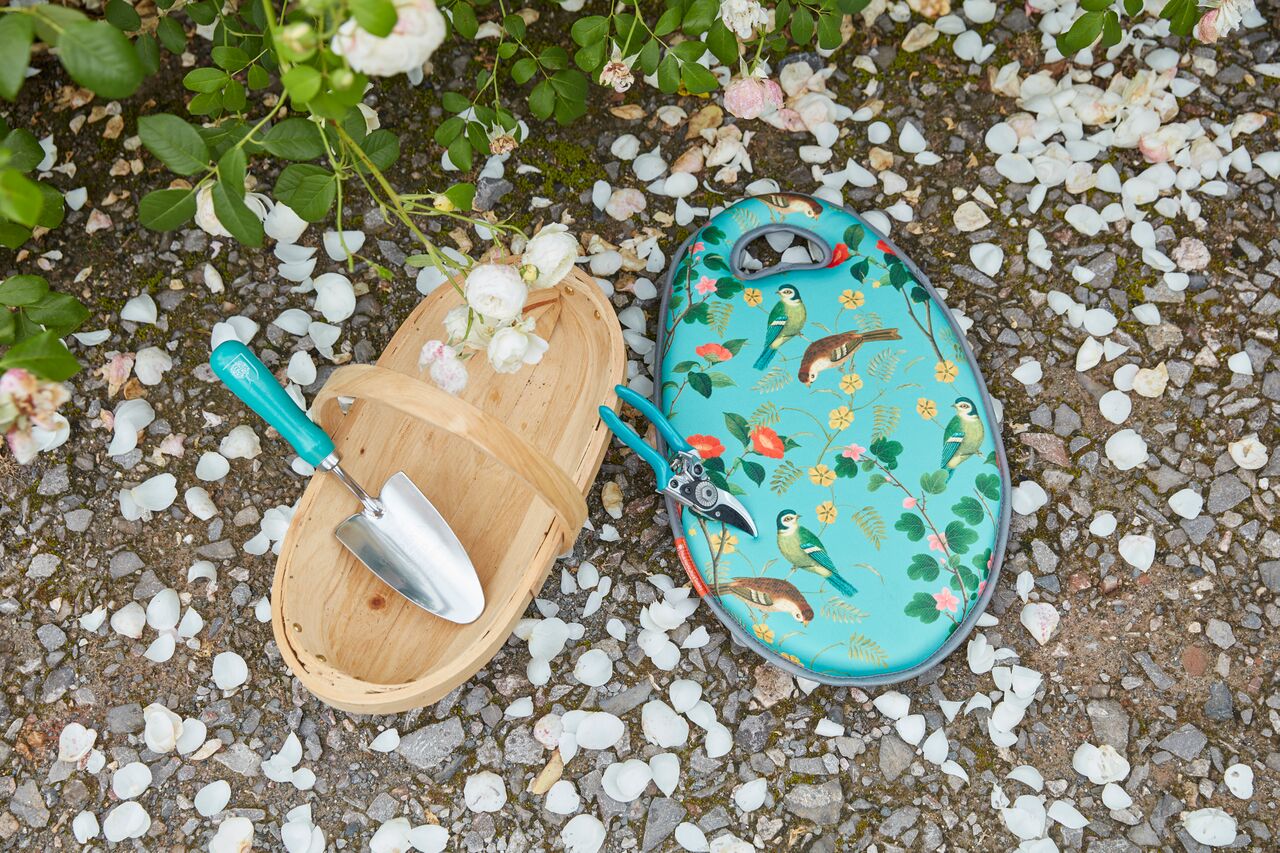 Kniekissen Flora & Fauna