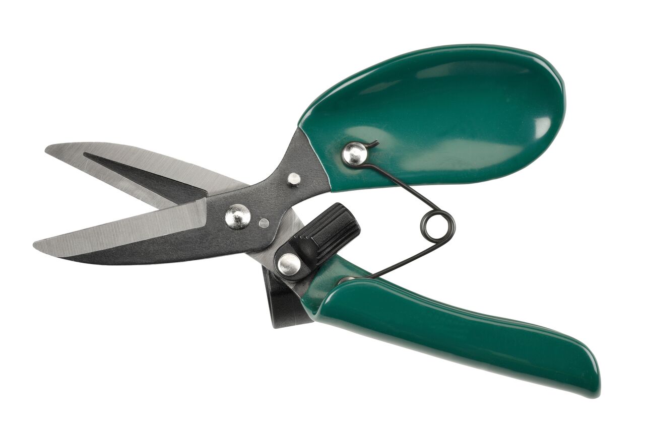 Feder und Verschluss der Ausputzschere