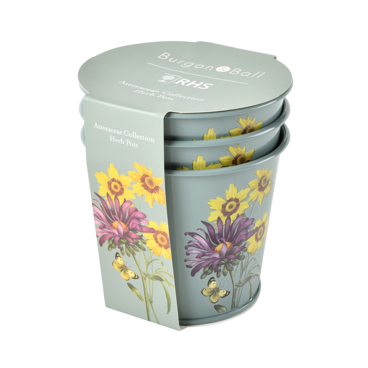 Asteraceae Collection Herb Pots | RHS | von Burgon & Ball