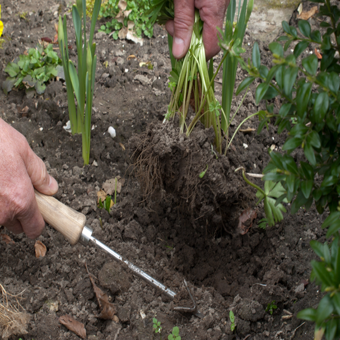 Der Sneeboer Wrotter bei der Arbeit