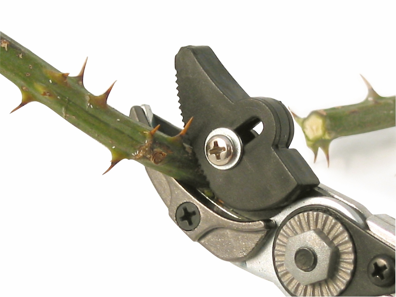 Die Halteblöcke der Rosenschere | halten das Abgeschnittene fest