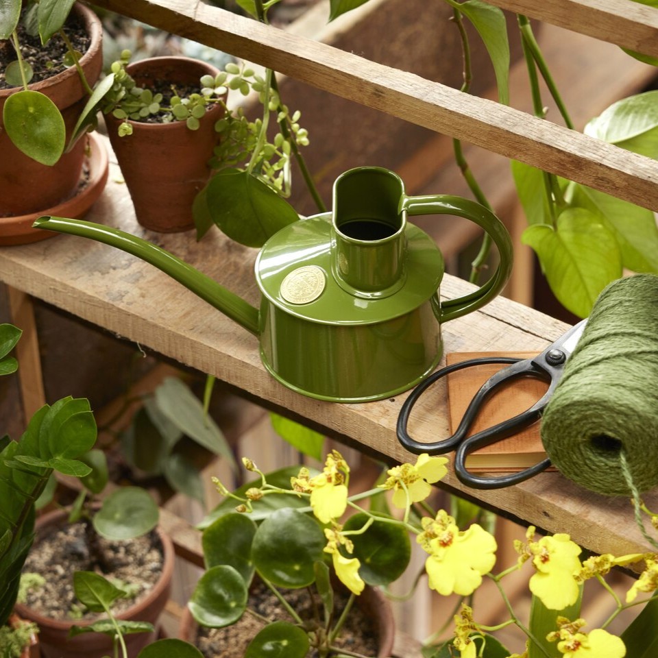 Farngrüne 1 Pint Zimmgießkanne | von Haws