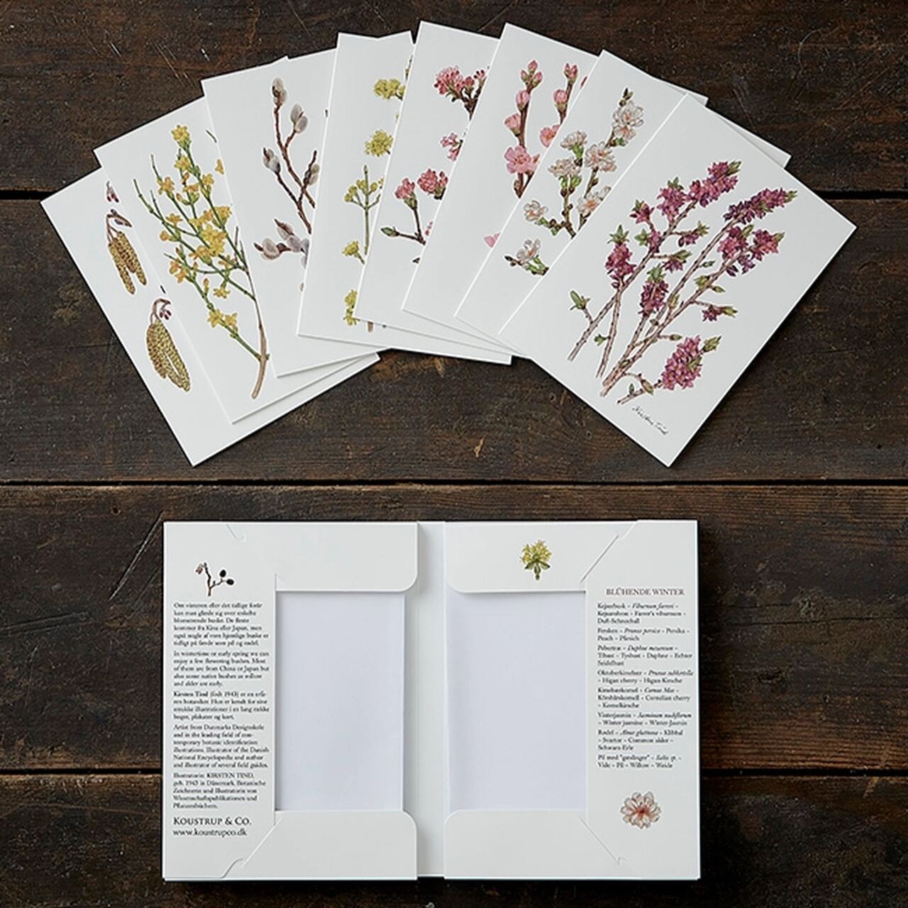 Die aufgeklappte Kartenbox, daneben der Inhalt der Kartenmappe: 8 verschiedene Grußkarten mit Winterblüten