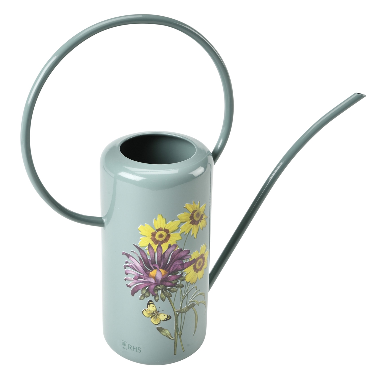 Zimmergießkanne Sommeraster - RHS-Design - Asteraceae