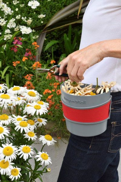 Hip-Trug, rot - zum Ausputzen von Verblühtem