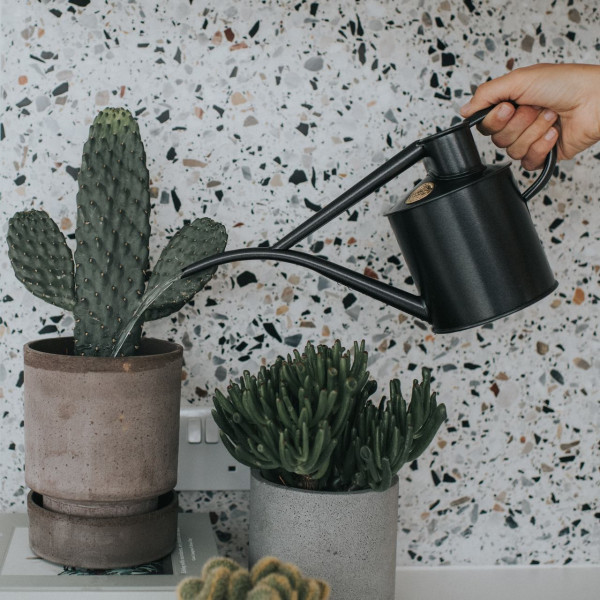 Haws Pot Waterer 2 Pint | Traditionell