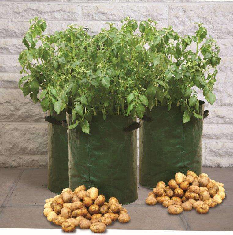 Kartoffel Pflanzsack, Kartoffelpflanztasche, Haxnicks
