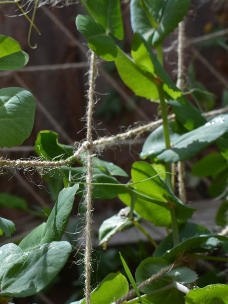 Jute-Ranknetz 100% biologisch abbaubar