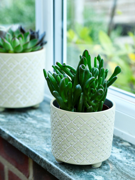 Burgon & Ball Indoor-Topf BILBAO JADE | klein