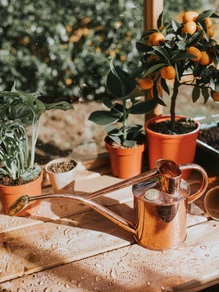 Haws Zimmergiesskanne Classic, aus Kupfer, 1 Liter