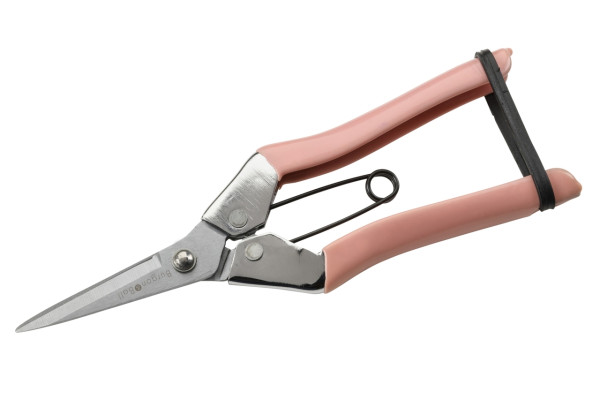 Blumen- & Ernteschere | von Burgon & Ball | aus England