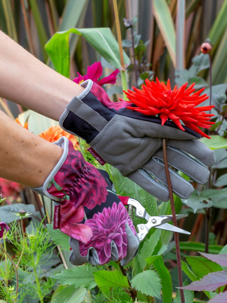 RHS Gifts for Gardeners - Damen-Gartenhandschuhe British Bloom