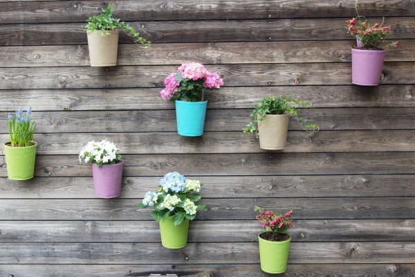 Hänge-Pflanztöpfe "The Green Pot" von Blooming Walls