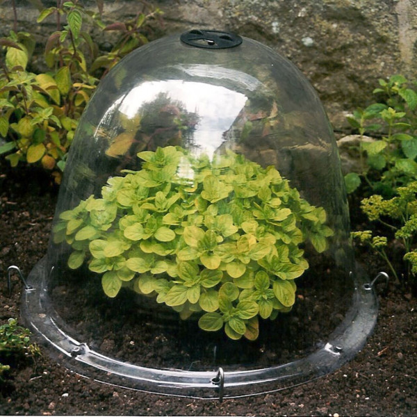 Original Viktorianische Gartenglocke