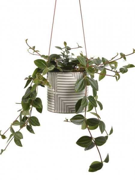 Hangetopf Modena