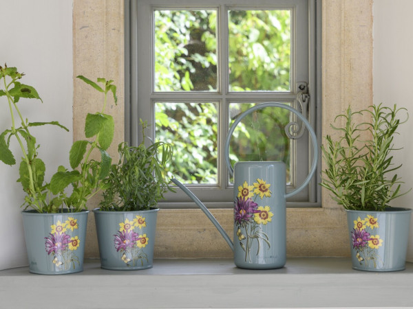 Zimmergießkanne und Kräutertöpfe im Sommeraster-Design | aus England