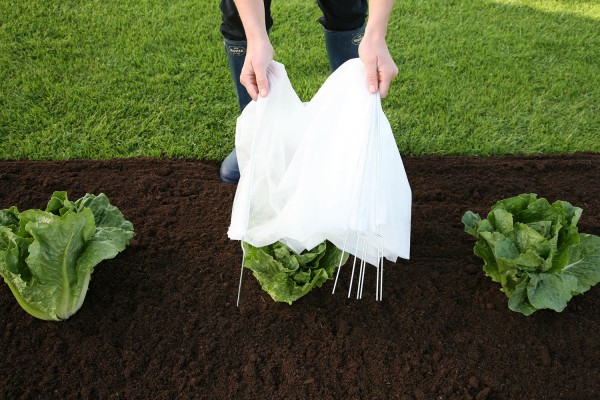 Leicht auf- und abzubauen