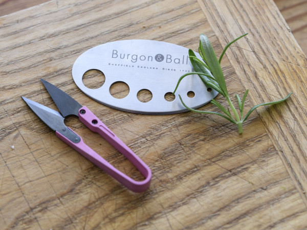 Kräuter-Ernteset | hochwertig und praktisch | aus England